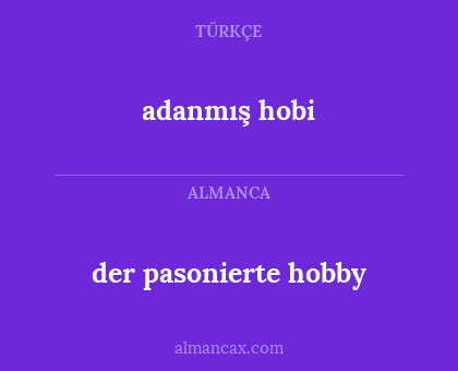 adanmış hobi - der pasonierte hobby