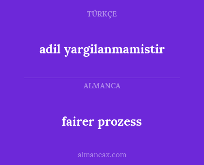 adil yargilanmamistir - fairer prozess