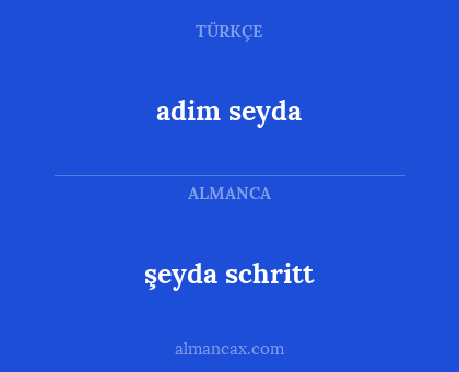 şeyda schritt - adim seyda
