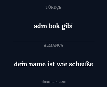 dein name ist wie scheiße - adın bok gibi