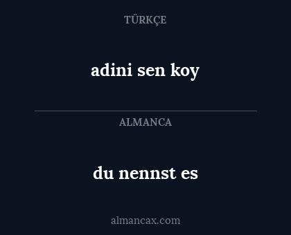 adini sen koy - du nennst es