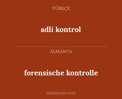 adli kontrol - forensische kontrolle