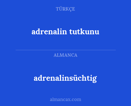 adrenalin tutkunu - adrenalinsüchtig