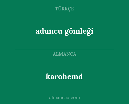 aduncu gömleği - karohemd