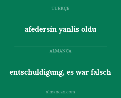 entschuldigung, es war falsch - afedersin yanlis oldu