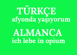 afyonda+ya%C5%9F%C4%B1yorum-ich+lebe+in+opium.png