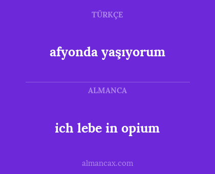 ich lebe in opium - afyonda yaşıyorum