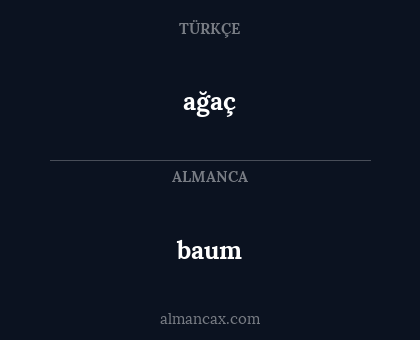 baum - ağaç