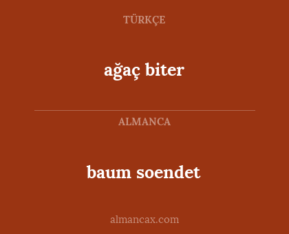 ağaç biter - baum soendet