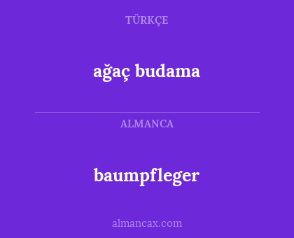 baumpfleger - ağaç budama
