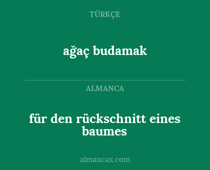 ağaç budamak - für den rückschnitt eines baumes