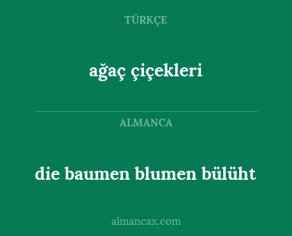 die baumen blumen bülüht - ağaç çiçekleri