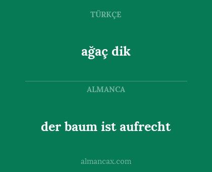 ağaç dik - der baum ist aufrecht