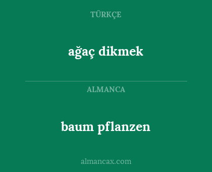baum pflanzen - ağaç dikmek