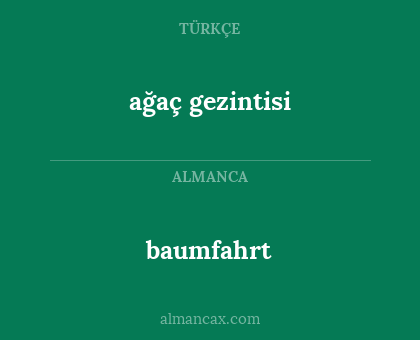 baumfahrt - ağaç gezintisi