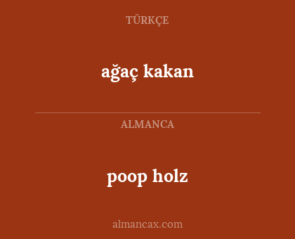 ağaç kakan - poop holz