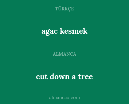 cut down a tree - agac kesmek