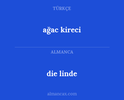 die linde - ağac kireci