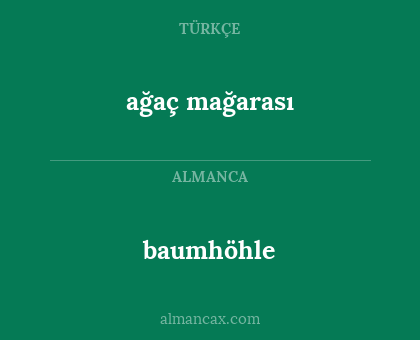 baumhöhle - ağaç mağarası