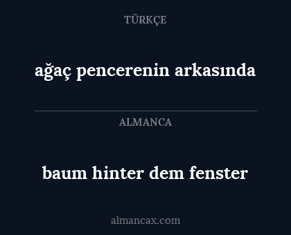 baum hinter dem fenster - ağaç pencerenin arkasında