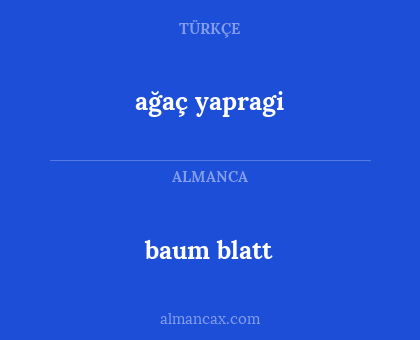 ağaç yapragi - baum blatt