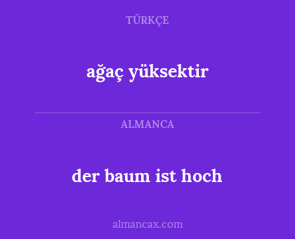der baum ist hoch - ağaç yüksektir