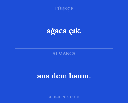 ağaca çık. - aus dem baum.