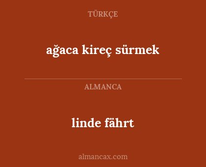 linde fährt - ağaca kireç sürmek