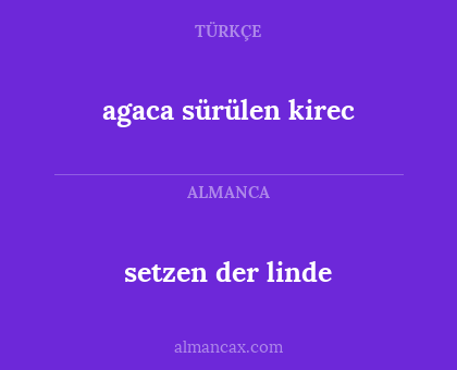 setzen der linde - agaca sürülen kirec