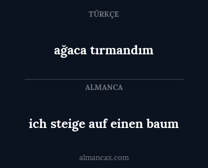 ağaca tırmandım - ich steige auf einen baum
