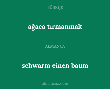 schwarm einen baum - ağaca tırmanmak
