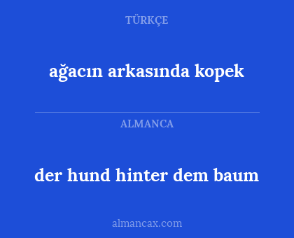 der hund hinter dem baum - ağacın arkasında kopek