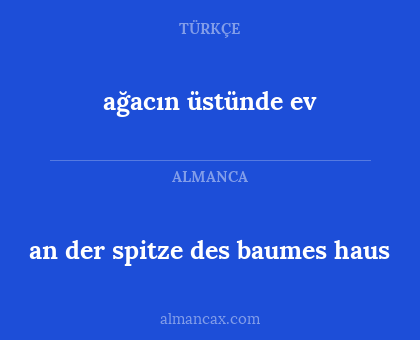an der spitze des baumes haus - ağacın üstünde ev