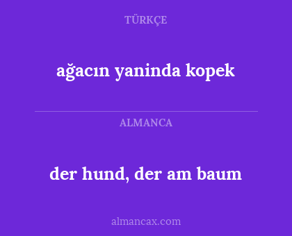 der hund, der am baum - ağacın yaninda kopek