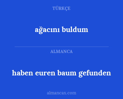 haben euren baum gefunden - ağacını buldum
