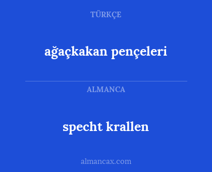 specht krallen - ağaçkakan pençeleri