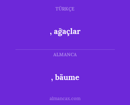 , bäume - , ağaçlar