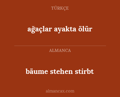 bäume stehen stirbt - ağaçlar ayakta ölür