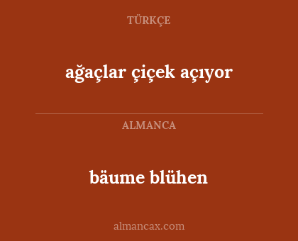 bäume blühen - ağaçlar çiçek açıyor