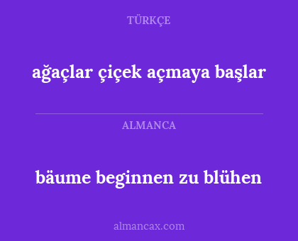 ağaçlar çiçek açmaya başlar - bäume beginnen zu blühen