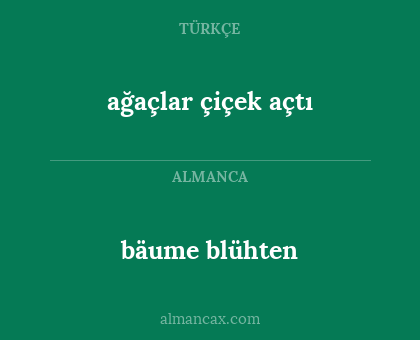 bäume blühten - ağaçlar çiçek açtı