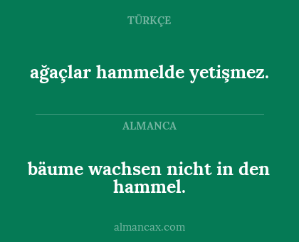 bäume wachsen nicht in den hammel. - ağaçlar hammelde yetişmez.