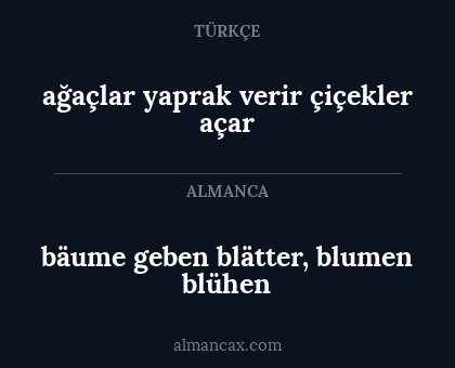 bäume geben blätter, blumen blühen - ağaçlar yaprak verir çiçekler açar