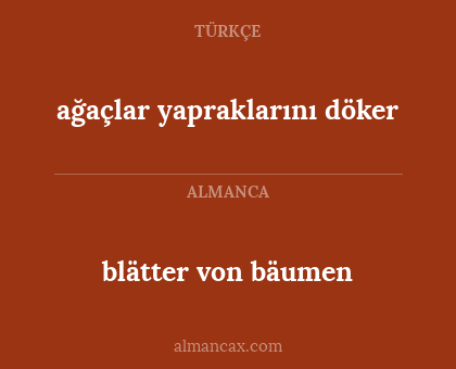 blätter von bäumen - ağaçlar yapraklarını döker