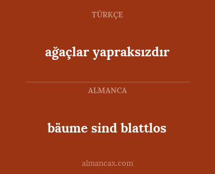 ağaçlar yapraksızdır - bäume sind blattlos