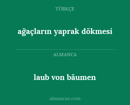 laub von bäumen - ağaçların yaprak dökmesi