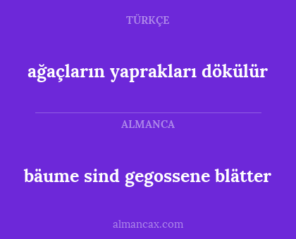 ağaçların yaprakları dökülür - bäume sind gegossene blätter