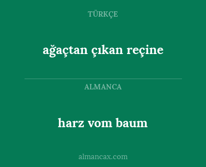 harz vom baum - ağaçtan çıkan reçine