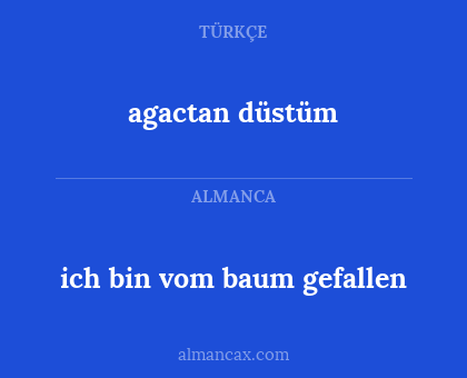 agactan düstüm - ich bin vom baum gefallen