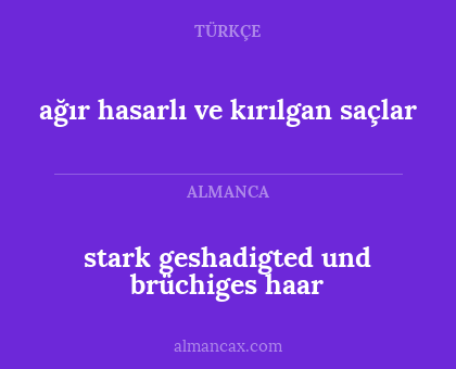 stark geshadigted und brüchiges haar - ağır hasarlı ve kırılgan saçlar